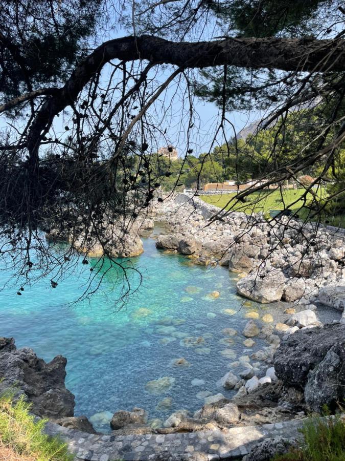 Casa Mara & Casa Tea Διαμέρισμα Maratea Εξωτερικό φωτογραφία