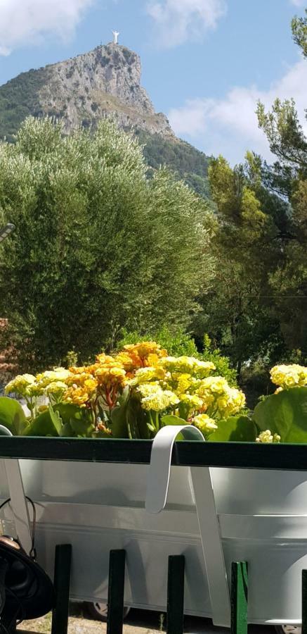 Casa Mara & Casa Tea Διαμέρισμα Maratea Εξωτερικό φωτογραφία